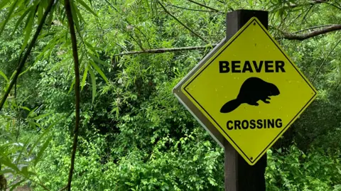 Beaver crossing sign