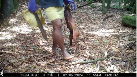 Julian Bayliss Hunters in Mabu forest