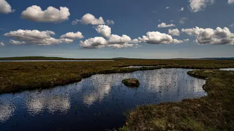 Tony Jolliffe / BBC  A landscape shot of the bog with clouds in the sky