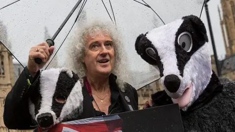 Getty Images Queen guitarist and wildlife campaigner Sir Brian May poses with people dressed as Badgers during a protest in London in 2016 organised to 'urge' the then government to abandon their planned badger cull