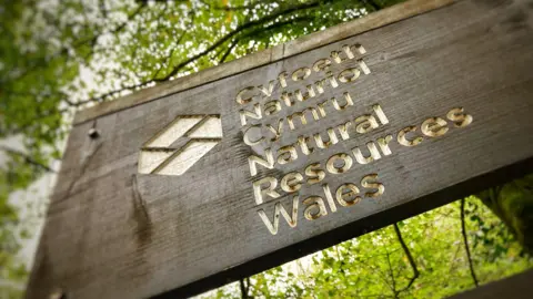 BBC Natural Resources Wales sign.