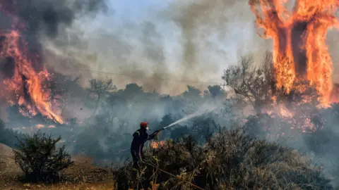 Getty Images A fireman douses flames on a wildfire at Panorama settlement near Agioi Theodori