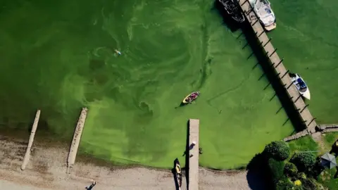 Save Windermere An aerial shot of a jetty in Windermere, with a small dinghy rowing through the water, which is bright green from the build-up of algae