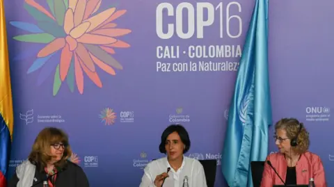 Getty Images Colombian Environment Minister and COP16 president Susana Muhamad (C) speaks during a press conference next to Astrid Schomaker (L), Executive Secretary of CBD and Inger Andersen, Executive Director of UNEP, at the blue zone of the COP16 summit in Cali, Colombia on October 25, 2024