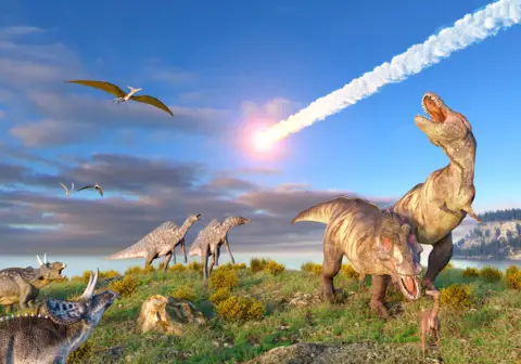 Getty Images Illustration of the K T Event at the end of the Cretaceous Period. A ten-kilometre-wide asteroid or comet is entering the Earths atmosphere as dinosaurs, including T. rex, look on.