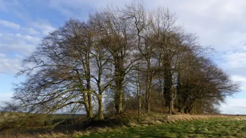 A Brookes/The Modern Antiquarian East Kennett long barrow