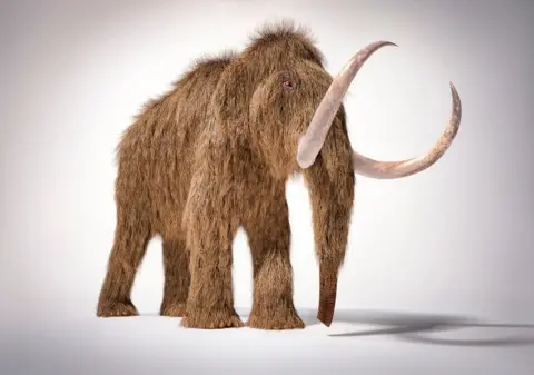 SPL Wooly Mammoth with shaggy hair and huge tusks