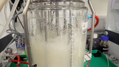 BBC News A covered jar with white-coloured liquid bubbling way. Small tubes and wires can be seen coming out of it.