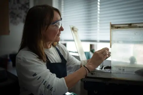 Tony Jolliffe/BBC News Kay Knight stands with her arms oustretched and hands above a metal surface. She is wearing white safety glasses. In front of her is a machine with perspex glass. 