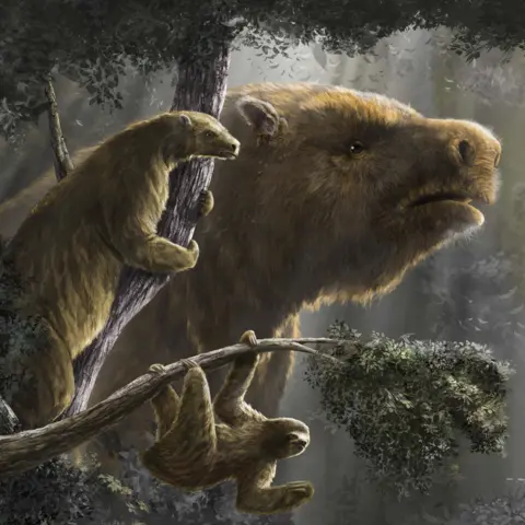 Diego Barletta The picture shows a reconstruction of what sloths would have looked like in the past. At the bottom a small sloth hangs from a branch by three limbs. Behind, a giant ground-dwelling sloth peers out from the forest. To the left a medium-sized sloth is seen clinging to the branch of a tree.