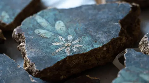 Tony Jolliffe/BBC News Small piece of wall plaster with a black background, lighter blue painted leaves and a white daisy made of a central white circle and seven petals.  A few other fragments of the plaster can also be seen at the edges of the image. 