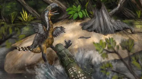 Link et al/Biology Letters The image shows an artist's impression of a terror bird being attacked by a caiman, a large crocodile-like predator. The caiman is emerging from a river and grabbing the panicked bird by its leg. This depicts a scene that scientists believe could have taken place 13 million years ago in Colombia.