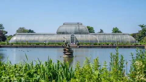 RBG Kew The Palm House at the Royal Botanic Gardens Kew. A large building made of iron and glass overlooks the lake and foliage.