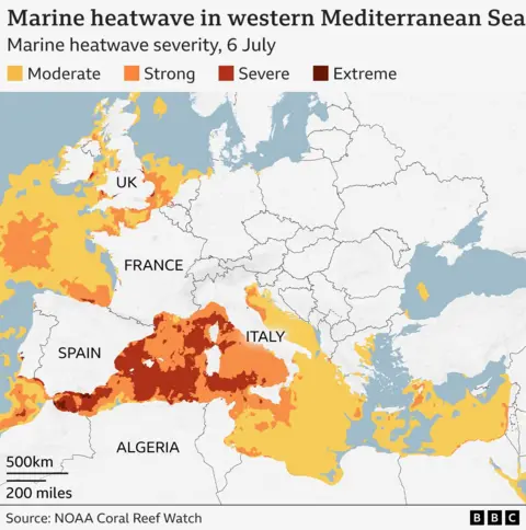 Map showing categories of marine heatwave across Europe on 6 July. Most of the Mediterranean is in a marine heatwave of some kind. In the east, there is a