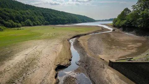 Getty Images Exposed reservoir bed, where grass is beginning to grow. There is only a narrow stream of water. In the background are green trees on either side, and a part blue, part cloudy sky.