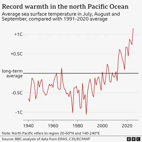 Line graph showing average sea surface temperatures across the north Pacific between July and September, each year since 1940. There is lots of variability from year to year, but temperatures have generally been going up this century. Temperatures this year are far above any previously recorded level.